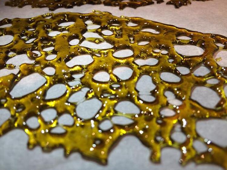 hardened butane hash oil - looks like honeycomb on white background.