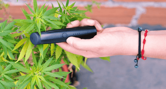 smoking vs vaping weed