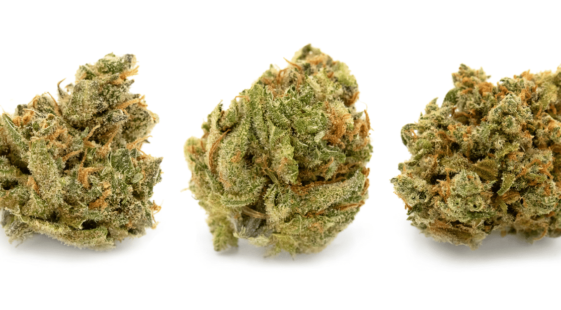 image of jack herer flowers on a white surface